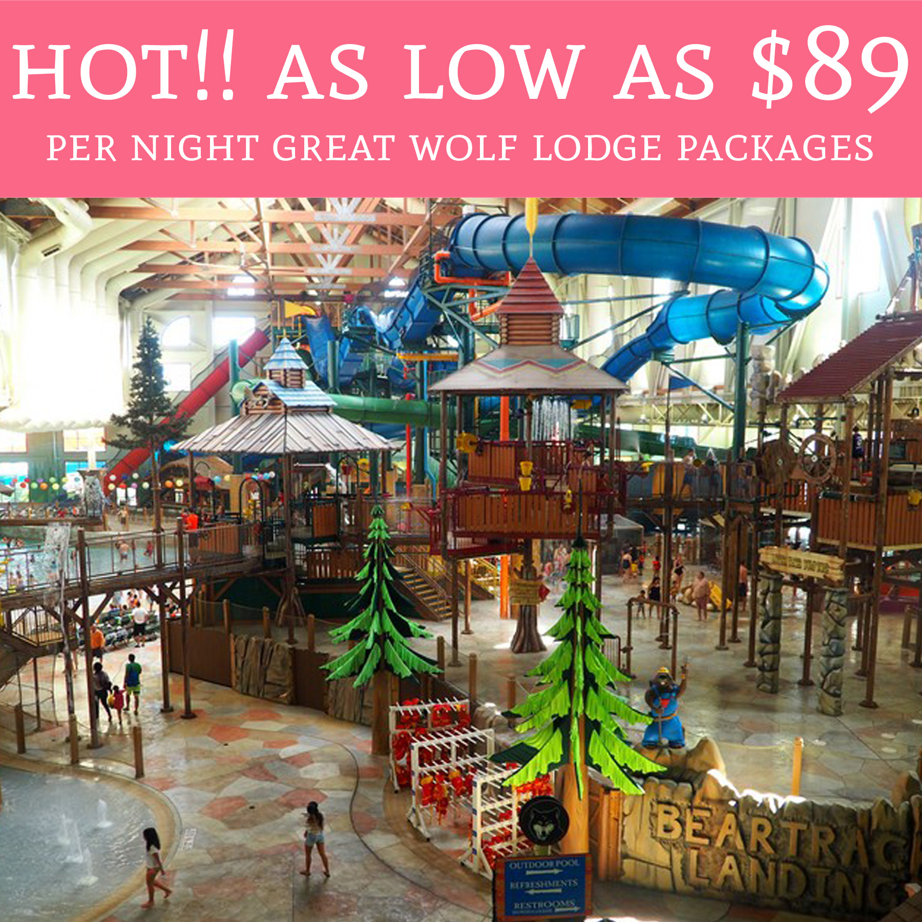HOT As Low As 89 Per Night Great Wolf Lodge Packages Deal Hunting Babe